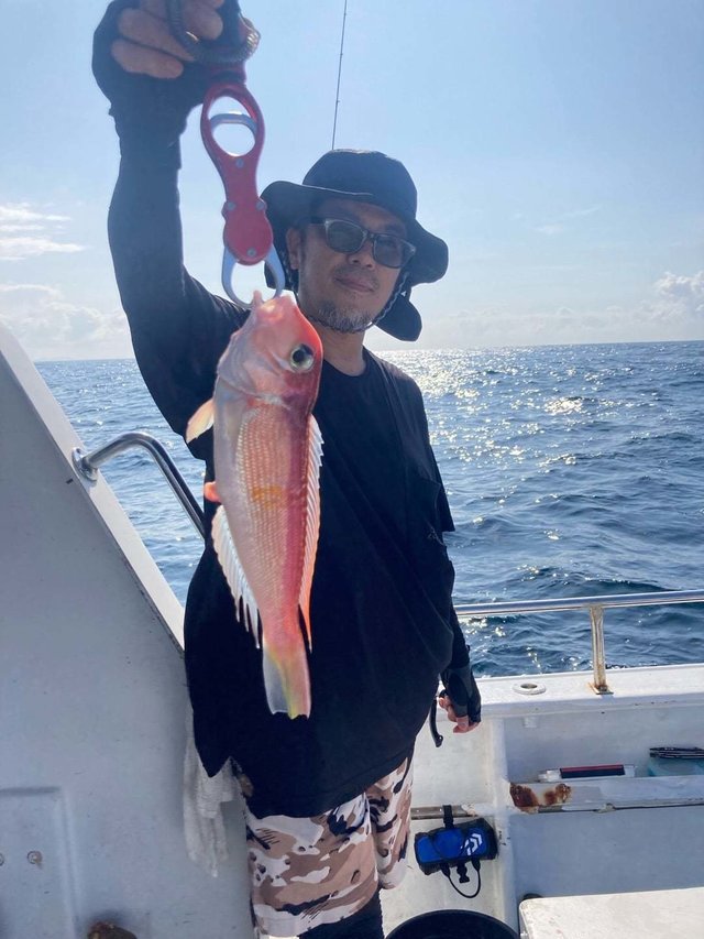 アマダイ(アカアマダイ)