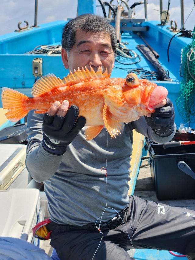 ウッカリカサゴ