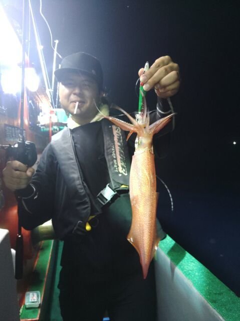 イカ(ヤリイカ)