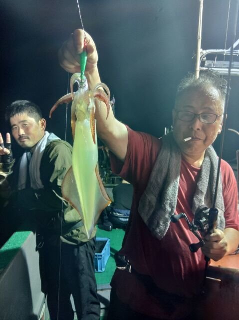 イカ(ヤリイカ)