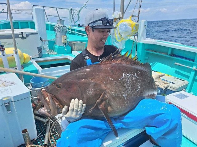 カンナギ(マハタ)