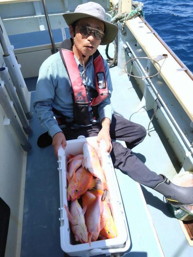 レンコダイ(キダイ)