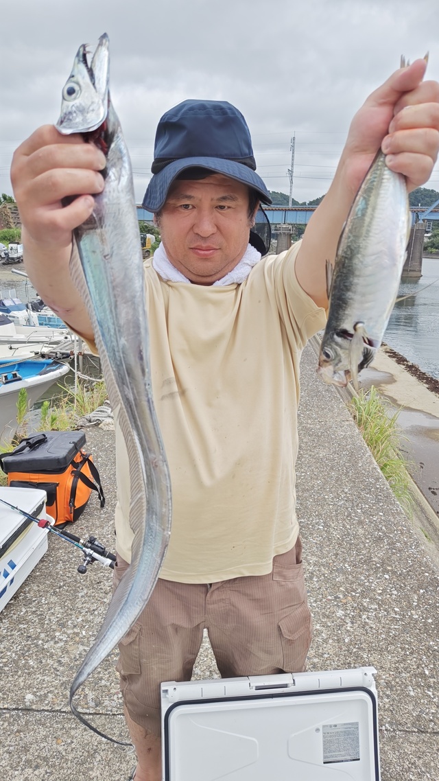 アジ(マアジ)・タチウオ