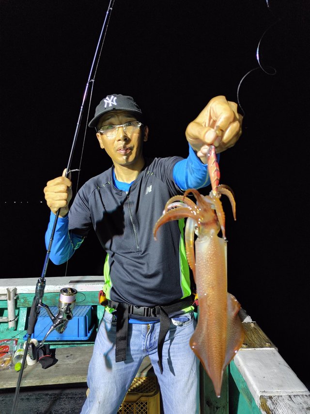 シロイカ(ケンサキイカ)