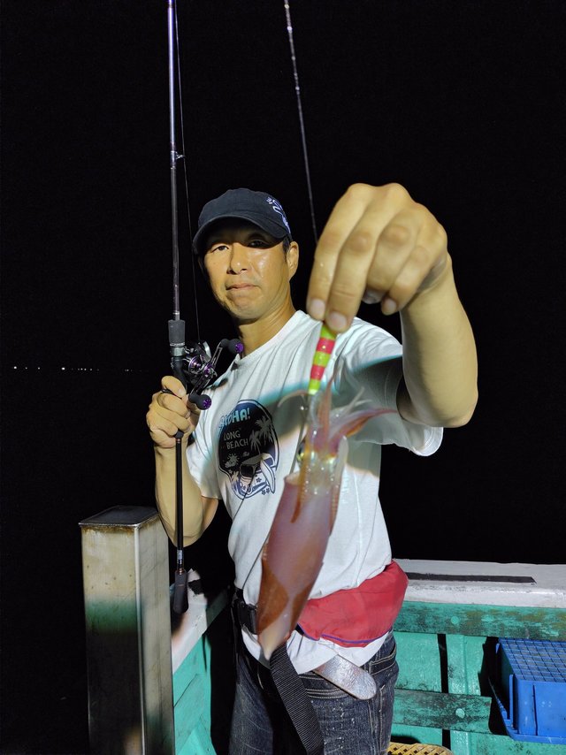 シロイカ(ケンサキイカ)