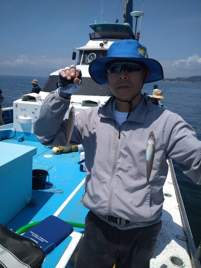 シロキス(シロギス)