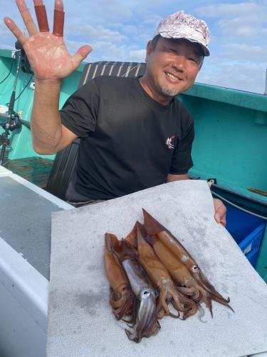 スルメ(スルメイカ)