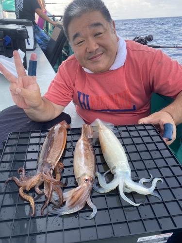 スルメ(スルメイカ)