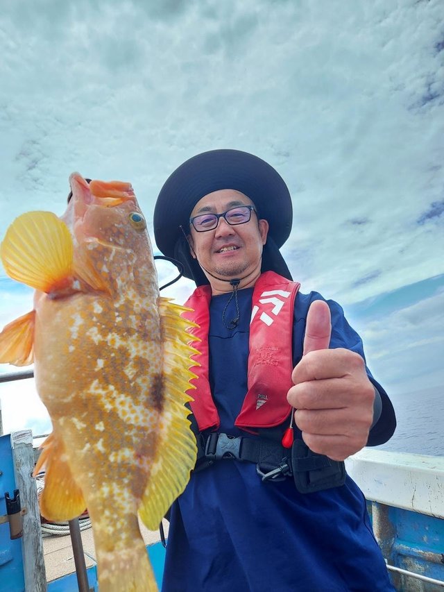 アコウ(キジハタ)