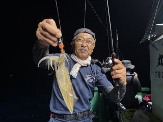 アカイカ(ケンサキイカ)