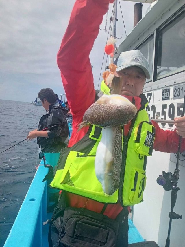 ショウサイフク(ショウサイフグ)