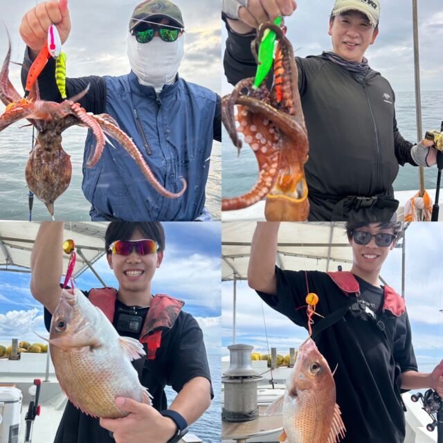 マダイ・マダコ