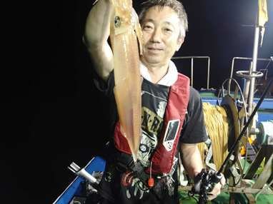 マイカ(ケンサキイカ)