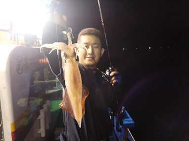 マイカ(ケンサキイカ)