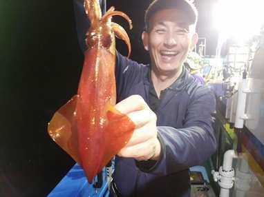 マイカ(ケンサキイカ)