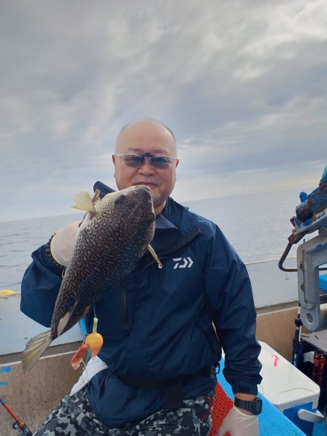 ショウサイフク(ショウサイフグ)