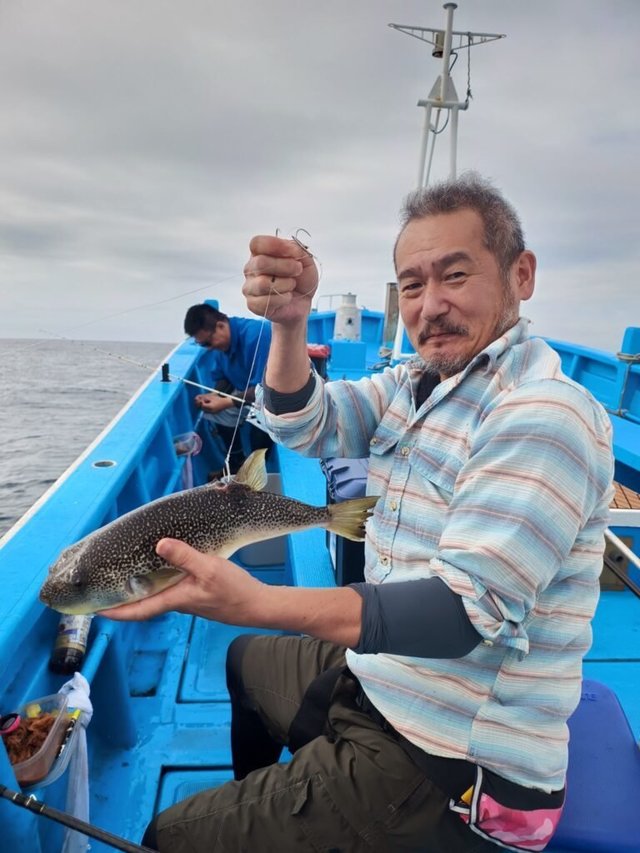 ショウサイフク(ショウサイフグ)