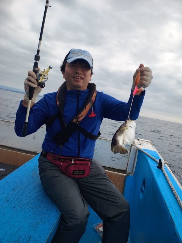 ショウサイフク(ショウサイフグ)