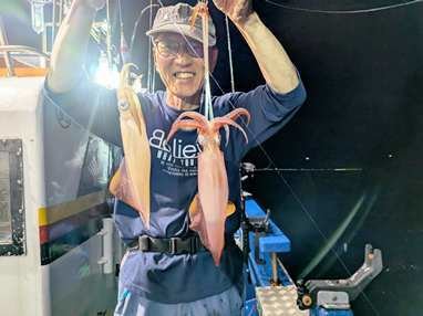 マイカ(ケンサキイカ)