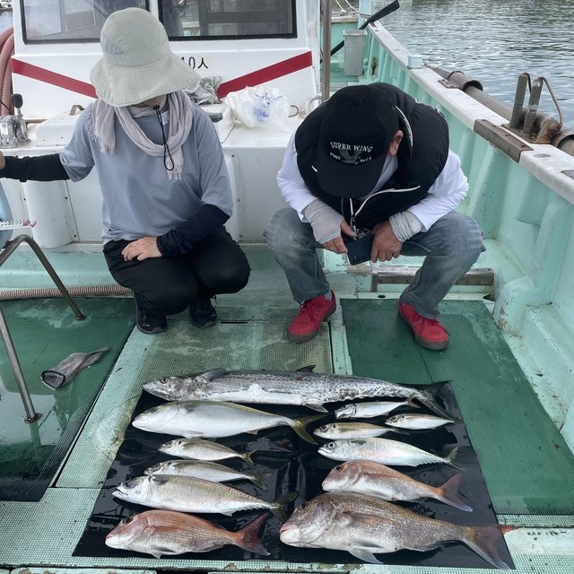 マダイ・マアジ・ハマチ(ブリ)・マサバ・サワラ