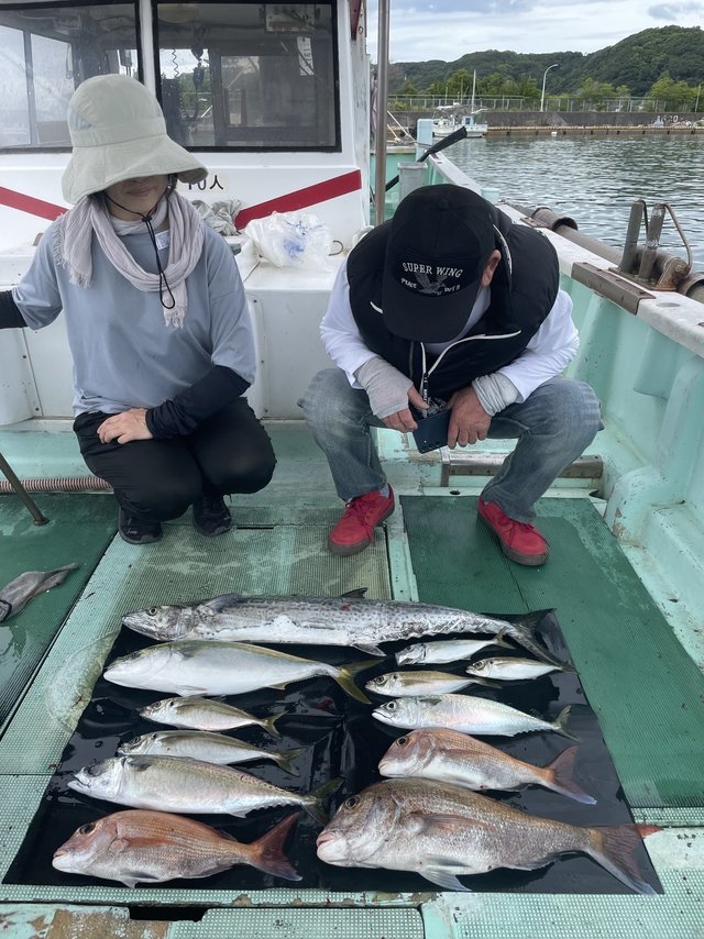 マダイ・マアジ・ハマチ(ブリ)・マサバ・サワラ