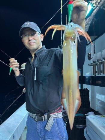 マイカ(ケンサキイカ)