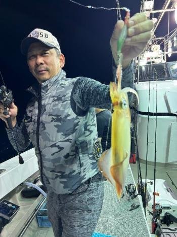 マイカ(ケンサキイカ)