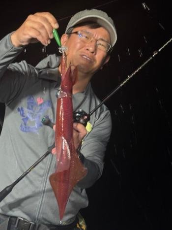 マイカ(ケンサキイカ)