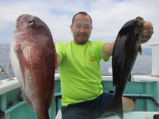 マダイ・メジナ