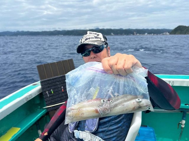 マルイカ(ケンサキイカ)