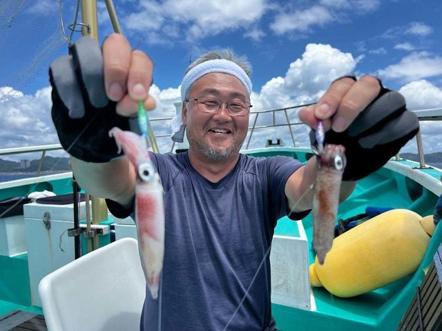 マルイカ(ケンサキイカ)