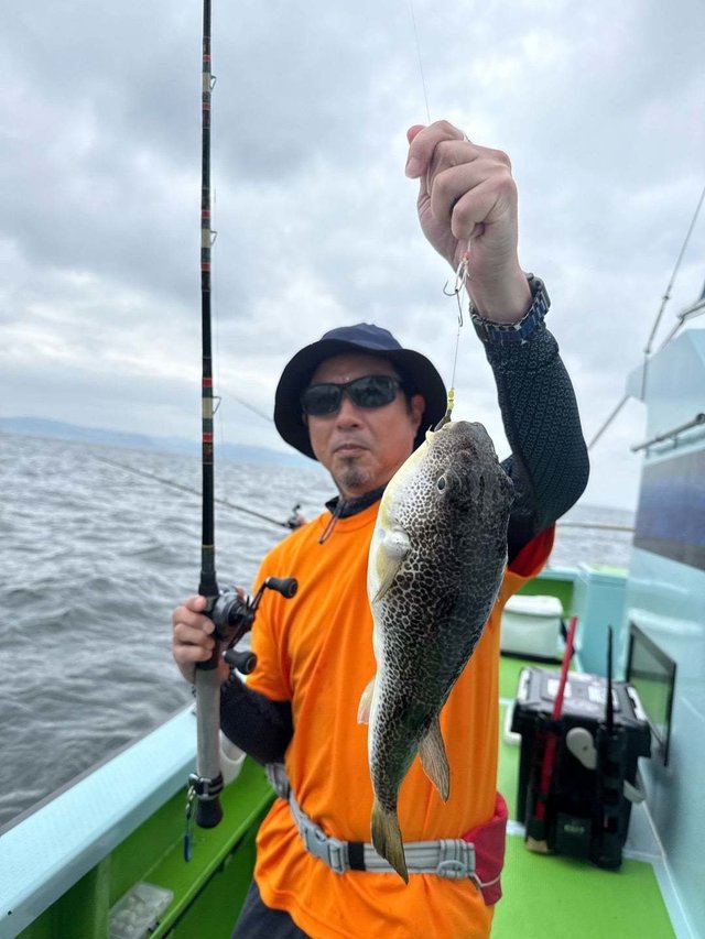 フグ(ショウサイフグ)