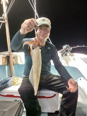 イカ(ケンサキイカ)