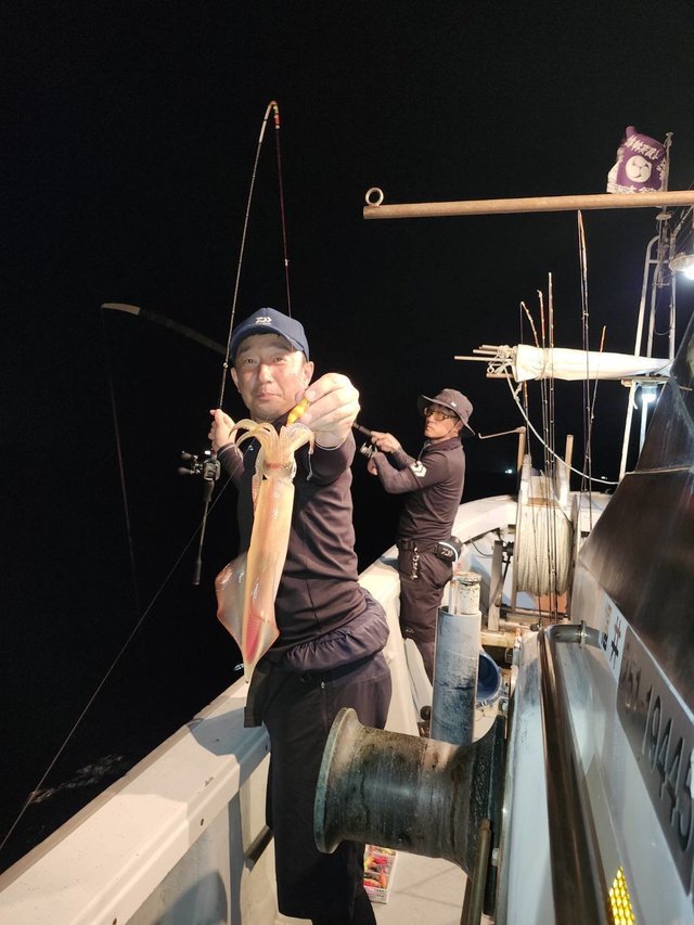 マイカ(ケンサキイカ)