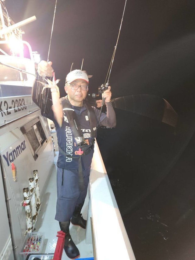 マイカ(ケンサキイカ)