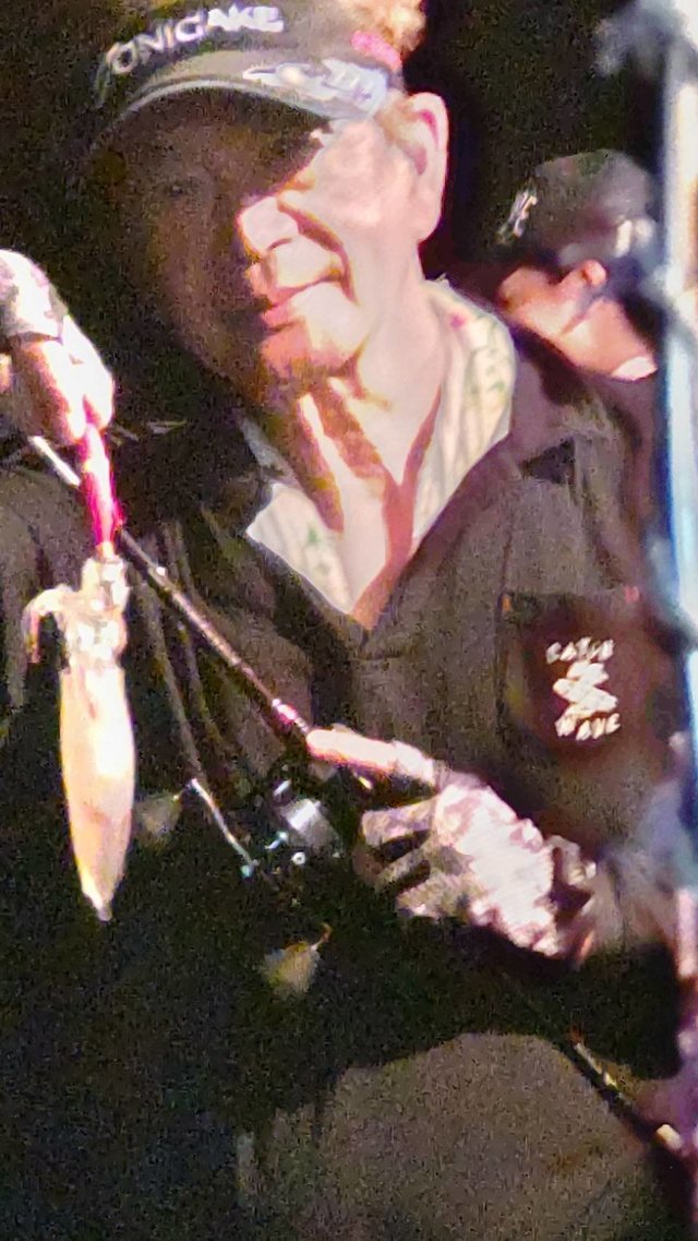 マイカ(ケンサキイカ)