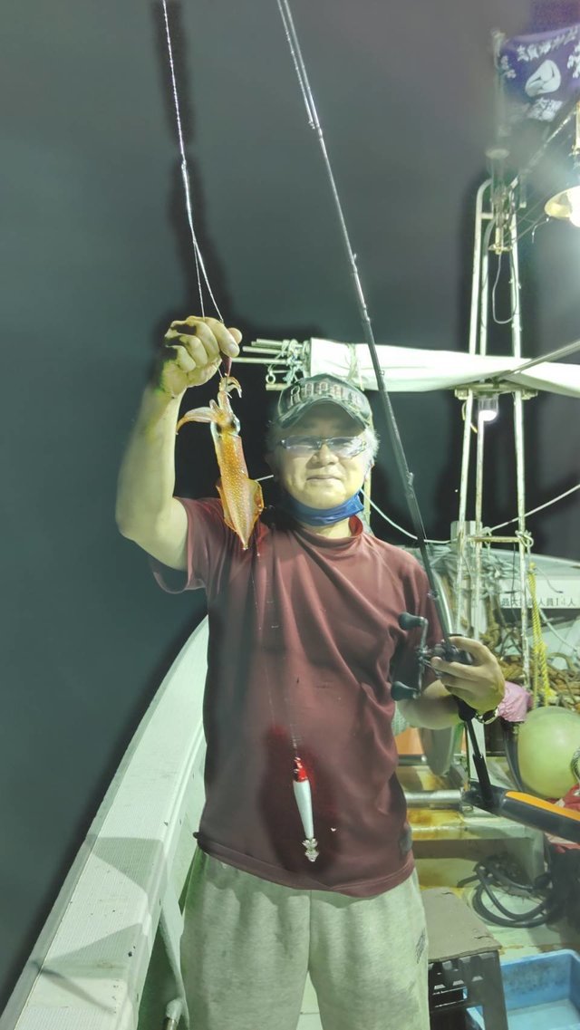 マイカ(ケンサキイカ)