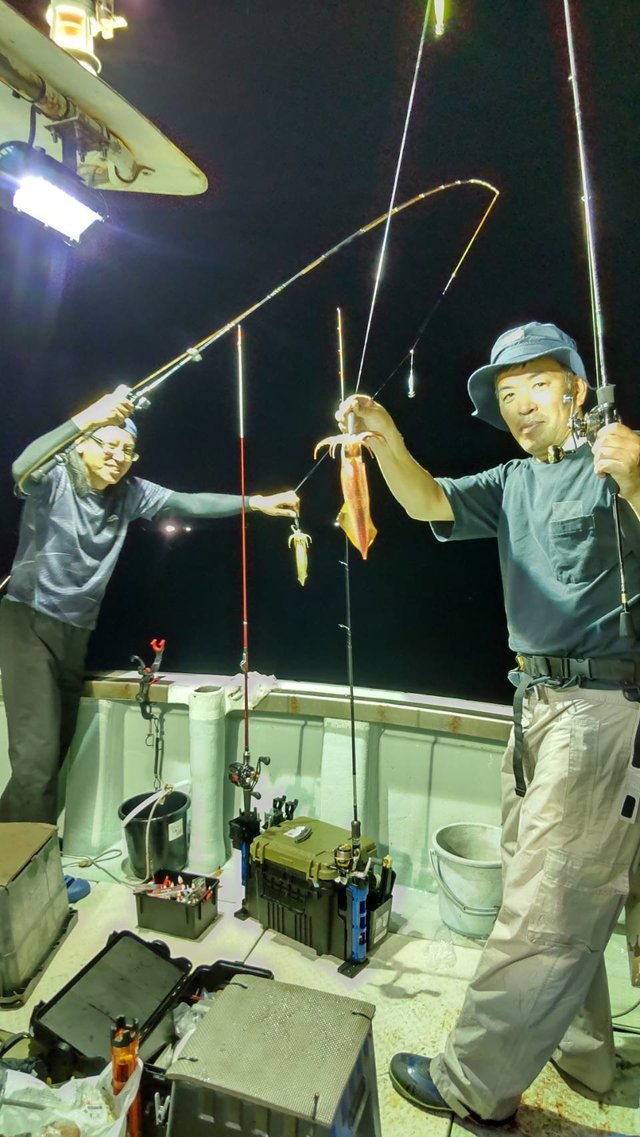 マイカ(ケンサキイカ)