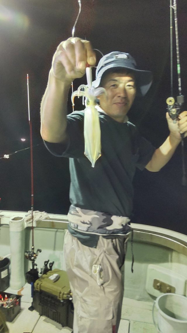 マイカ(ケンサキイカ)