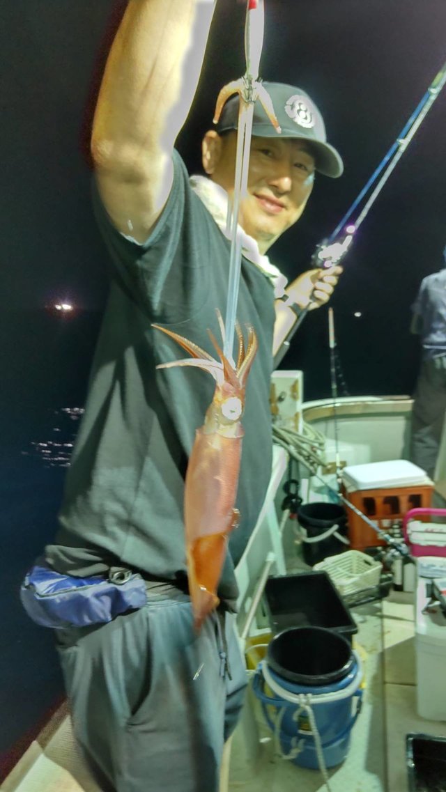 マイカ(ケンサキイカ)