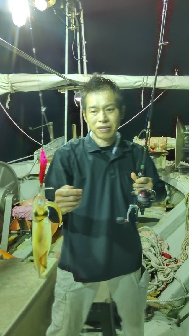 マイカ(ケンサキイカ)