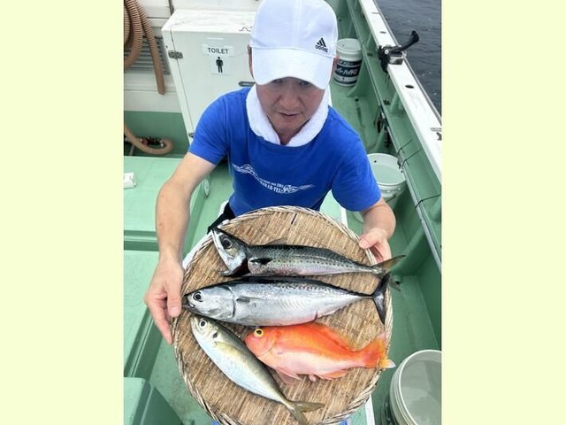 アカイサキ・アジ(マアジ)・サバ(マサバ)・ソーダガツオ(ヒラソウダ)