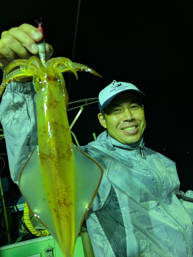 イカ(ケンサキイカ)