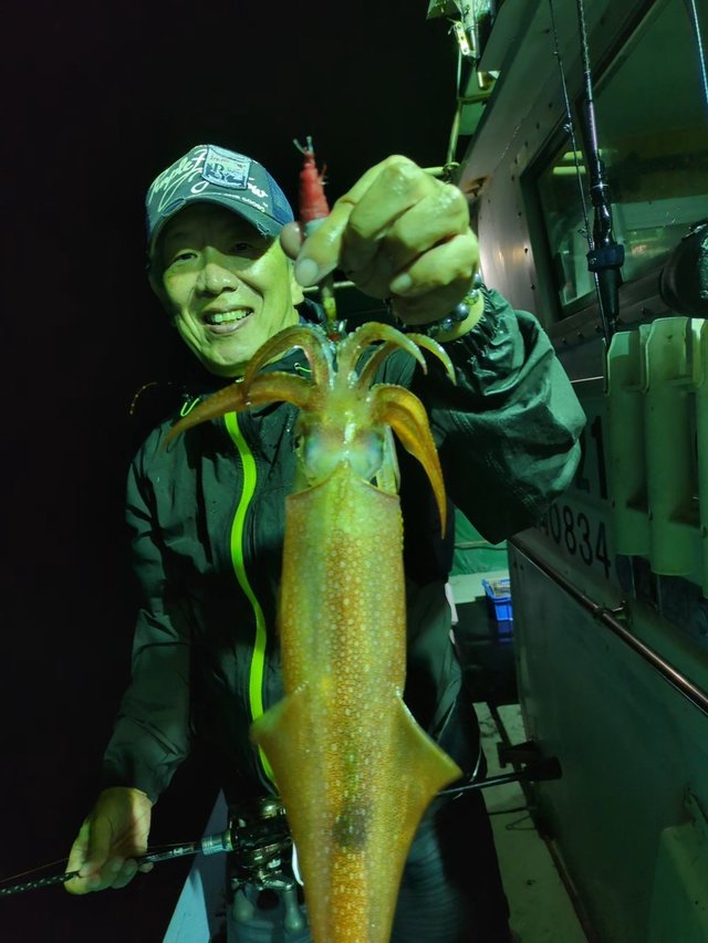 イカ(ケンサキイカ)