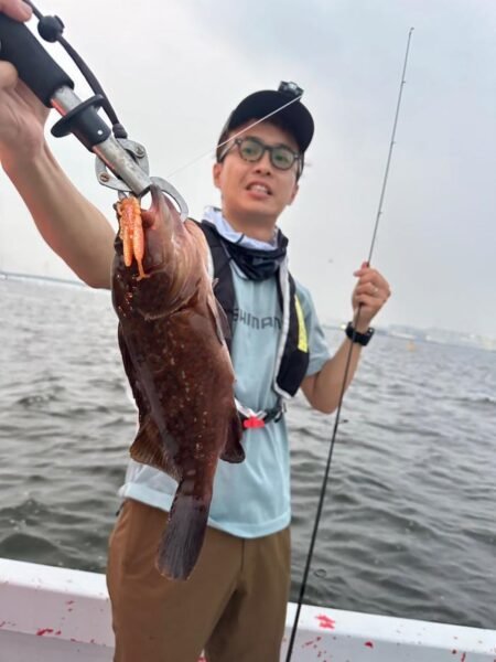 アコウ(キジハタ)