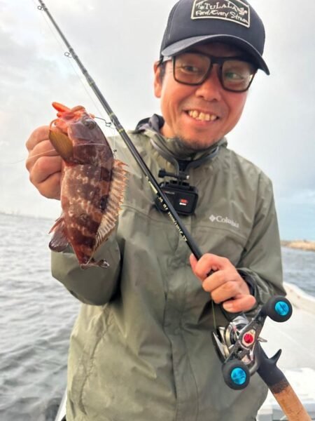 アコウ(キジハタ)