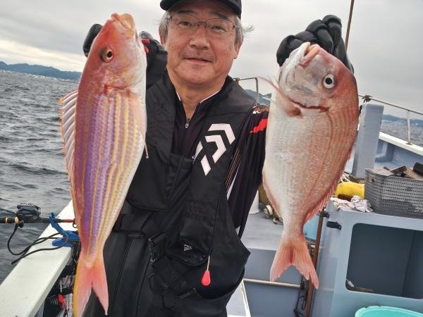 マダイ・イトヨリ(イトヨリダイ)