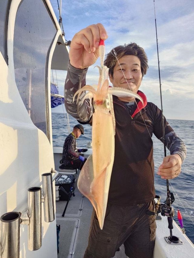 イカ(ケンサキイカ)