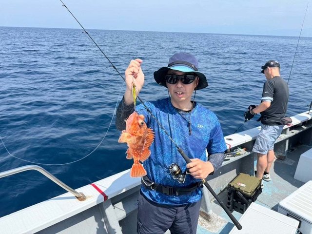 ウッカリカサゴ