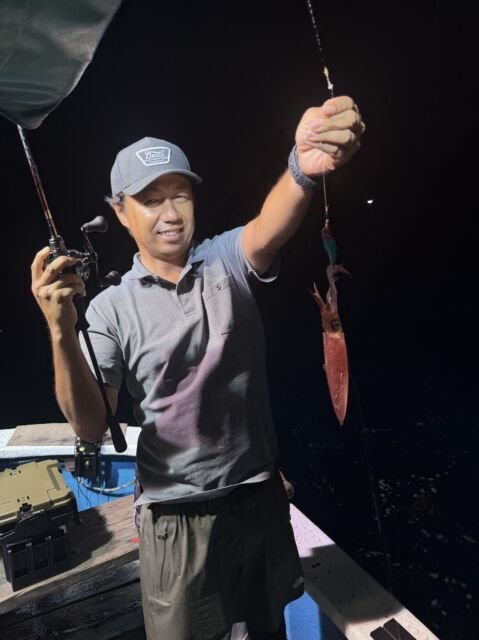 マイカ(ケンサキイカ)